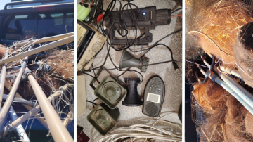 الحملة الأكبر لإزالة شبكات الصيد الجائر في البقاع الشمالي