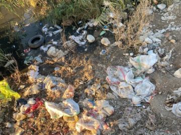 مصلحة الليطاني: جريمة بيئية وصحية خطيرة في زحلة عبر رمي آلاف طيور الدجاج النافقة بمجرى نهر الليطاني