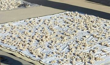 بالصورة- الكشك على طاولة الحكومة!! بالصورة- الكشك على طاولة الحكومة!!