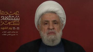 لن نتخلى عن سلاحنا... قاسم: لكل شيء حد!