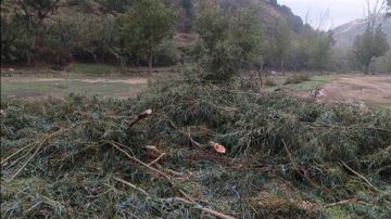 جنوبا: جريمة بيئية حصلت ليلا! (صور) جنوبا: جريمة بيئية حصلت ليلا! (صور)