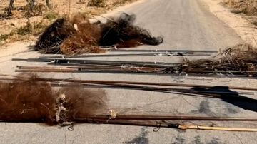 بالفيديو: حملة كبيرة لوقف المجزرة