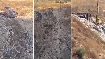 تدمير ممنهج للبيئة وتشويه متعمد لجمال الجنوب الطبيعي .... لوقف المجزرة البيئية فورا !