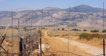 ترسيم ثلاثي للحدود... وسحب حجة مزارع شبعا من الحزب