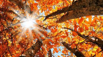 طقس خريفي متقلب في لبنان مع حرارة فوق المعدلات واحتمال أمطار شمالا