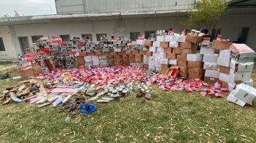 الجمارك تضبط 3 أطنان من الشحوم الفاسدة في بعلبك وكميات من التنباك المعسل في صيدا الجمارك تضبط 3 أطنان من الشحوم الفاسدة في بعلبك وكميات من التنباك المعسل في صيدا