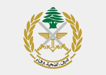 الجيش : تفجير ذخائر غير منفجرة في بلدة عيناب عاليه