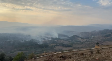 اشتعال حرائق في أحراج جنوب لبنان جراء القصف الإسرائيلي (فيديو)