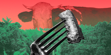 لبنان: بين وعود باريس ولحمة الأمازون