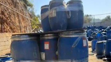 بالفيديو: ورق عريش مهرب... بلا فحوصات