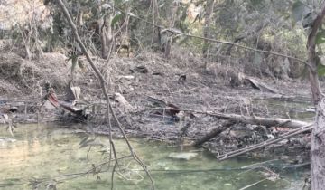 بعد الغارات الإسرائيلية على ضفاف النهر في طيرفلسيه.. خطة طارئة لمصلحة الليطاني