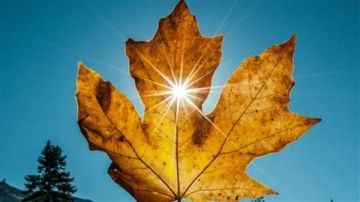 ميني صيفية في تشرين: الحرارة 30!