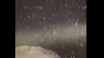 تساقط الثلوج للمرة الأولى هذا العام على مرتفعات الضنية تساقط الثلوج للمرة الأولى هذا العام على مرتفعات الضنية