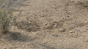 غارة من مسيرة استهدفت أطراف بلدة الحميري