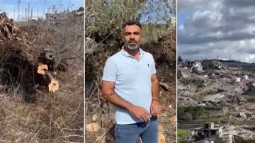 السرقات في القرى الحدودية وصلت الى الزيتون المعمر منذ مئات السنين ، فمن يتحرك