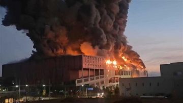 بالفيديو: حريق مرعب