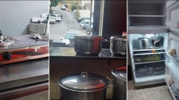 جنوبا: بعد الحشرات وسوء النظافة في مطعم الفول وفرن الكرواسون.. كشف جديد فماذا تبين؟ جنوبا: بعد الحشرات وسوء النظافة في مطعم الفول وفرن الكرواسون.. كشف جديد فماذا تبين؟