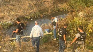 فضيحة مقرفة: المياه الآسنة تروي طعامنا