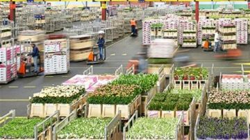 وزير الزراعة: إعادة فتح الأسواق السعودية فرصة تاريخية