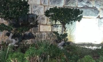 إليكم حقيقة ظهور النور قرب قبر القديسة رفقا في جربتا