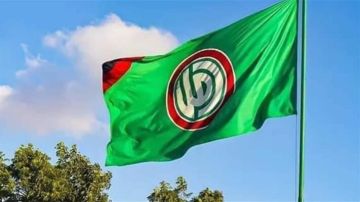 حركة أمل أصدرت تعميما للحركيين عشية زيارة قداسة البابا: لرفع العلم اللبناني تأكيدا على وحدة الوطن وصورته الجامعة