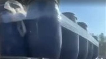 ورق عريش مهرب... بلا فحوصات ورق عريش مهرب... بلا فحوصات