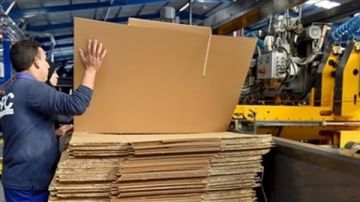 أصحاب مصانع الكرتون يحذرون من كارثة صناعية تهدد مئات العمال