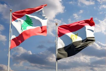 وزير الخارجية المصري ورئيس الوزراء اللبناني يبحثان تطورات الأوضاع في جنوب لبنان والجهود الجارية لخفض التصعيد 