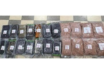 بالتعاون مع أجهزة الأمن السعودية.. تفكيك شبكة تهريب دولية وضبط أنواع خطيرة من المخدرات!