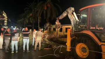 النشرة: تضرر شبكة الكهرباء في كورنيش صور وتطاير لوحات إعلانية واقتلاع شجرة نخيل جراء الرياح والأمطار