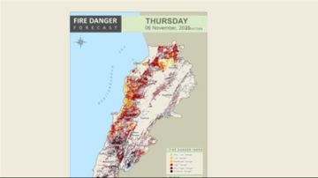 خبير بيئي يحذر: لبنان يواجه اليوم خطرا مرتفعا جدا للحرائق