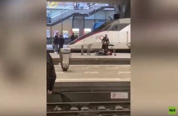 قتل بعد أن هدد بطعن مسافرين بأحد القطارات في باريس ماذا في التفاصيل؟ قتل بعد أن هدد بطعن مسافرين بأحد القطارات في باريس ماذا في التفاصيل؟