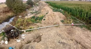 قوى الأمن تضبط ري مزروعات بمياه ملوثة في سهل المرج وتوقف المطلوبين