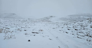 تساقط الثلوج للمرة الاولى هذا العام على مرتفعات الضنية