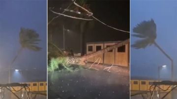 صور تنجو من كارثة: العاصفة الشديدة تقتلع نخلة معمرة وتلقيها ارضا صور تنجو من كارثة: العاصفة الشديدة تقتلع نخلة معمرة وتلقيها ارضا