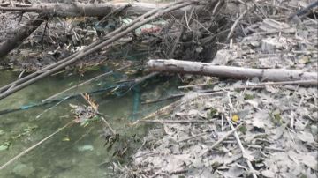 بالفيديو والصور: أضرار جسيمة على ضفاف الليطاني بعد غارات طيرفلسيه