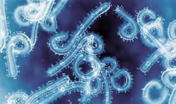 دولة عربية تتأهب لمواجهة فيروس خطير!