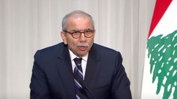 بالفيديو... سلام من القاهرة: وقعنا اتفاقيات بين مصر ولبنان