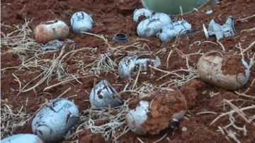 قصف لبنان بـ4 ملايين قنبلة عنقودية في الأيام الأخيرة من حرب 2006... وصور تكشف لأول مرة!