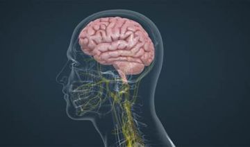 دراسة جديدة تكشف مفاجأة عن مرض الزهايمر إليكم التفاصيل دراسة جديدة تكشف مفاجأة عن مرض الزهايمر إليكم التفاصيل