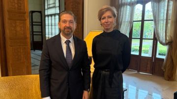 كرامي عرض مع مستشارة ماكرون للمستجدات الداخلية والإقليمية