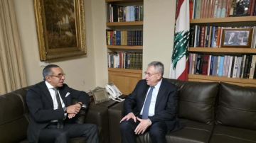 السنيورة بحث مع موسى في الأوضاع