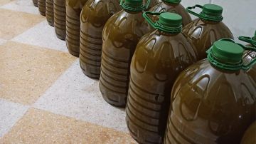 ضبط زيت زيتون مغشوش!