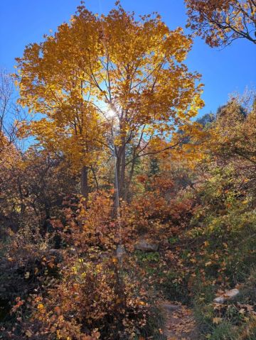 الحرارة اعلى من معدلاتها بـ 6 درجات حتى يوم الجمعة