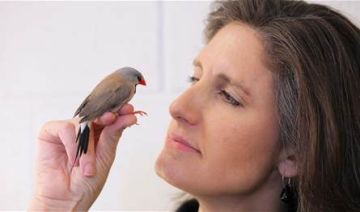 تغريد الطيور علاج طبيعي يفوق اليوغا في تخفيف الإكتئاب تغريد الطيور علاج طبيعي يفوق اليوغا في تخفيف الإكتئاب