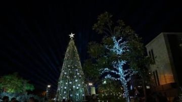 تنافس فريد من نوعه بين المناطق... وانتظروا المفاجآت!