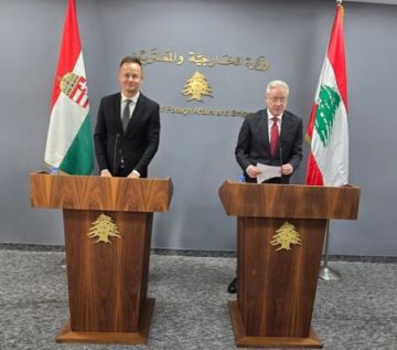 رجي: طموح الشعب اللبناني العيش في بلد لا سلاح فيه إلا السلاح الشرعي