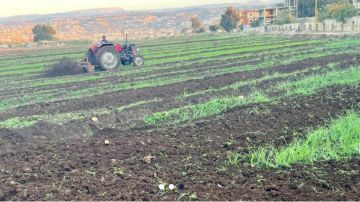 مياه المجارير على موائد اللبنانيين مياه المجارير على موائد اللبنانيين