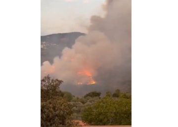 بالفيديو - النيران تلتهم حرج بكاسين.. أكبر غابة للصنوبر المثمر في الشرق الأوسط!