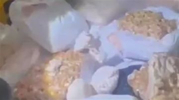 بالفيديو: ضبط 3 أطنان من الشحوم الحيوانية الفاسدة